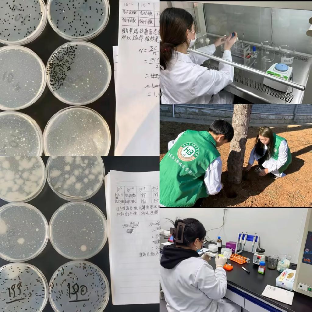 图片：康养与生物技术学院学生进行采样、实验、数据采集（22级生物一班王思雨）(1).jpg