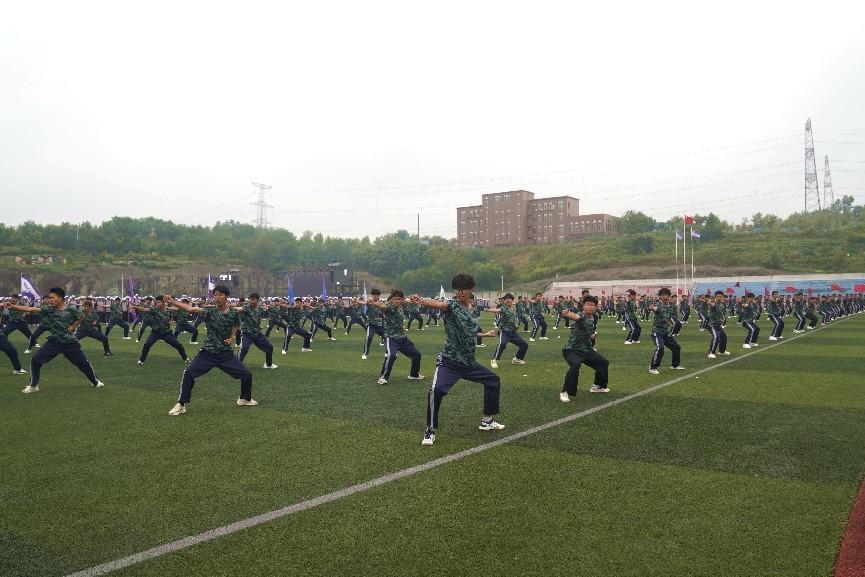 图片8.png