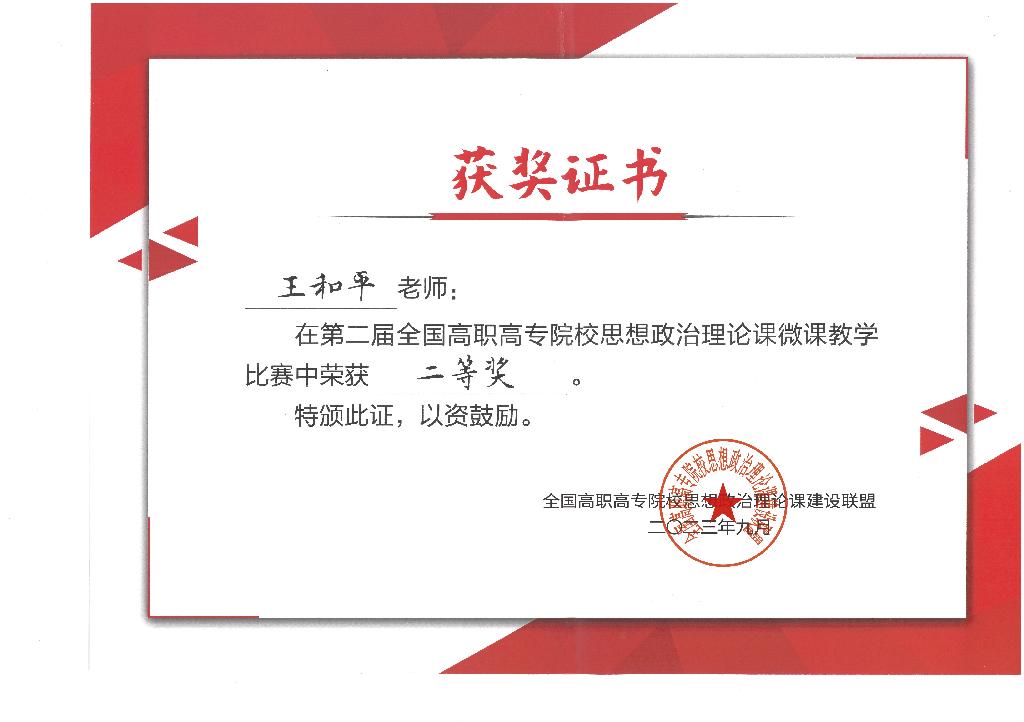 王和平-获奖证书(1).jpg